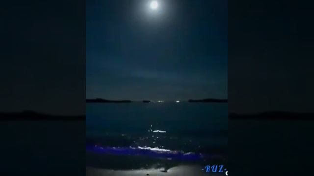 Lara Fabian - Growing Wings смотреть онлайн