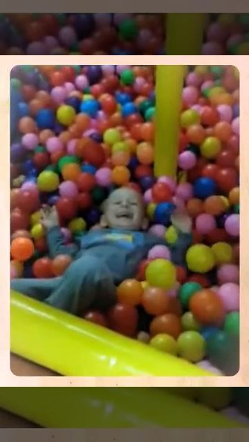 Наши любимчики!!!! (Created with @Magisto) смотреть онлайн