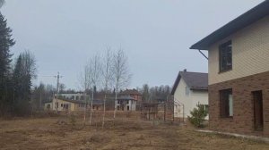 Как поют птицы на Рождественской