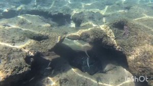 снорклинг турция