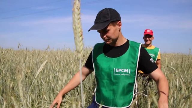 Студотряд Экипаж смотреть онлайн