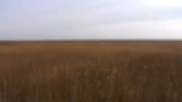 охота на кабана смотреть онлайн