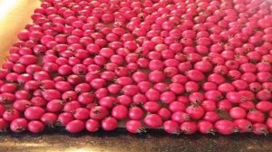 Вяленный боярышник