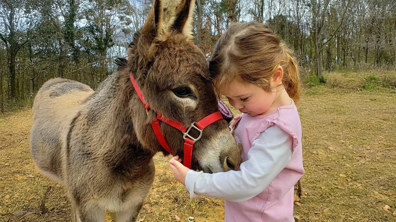 Когда Ребенок Только Что нашел Свою Вторую половинку… И это Животное 😍