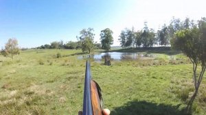 Disparo cal. 12 cartucho metálico para javali sg9