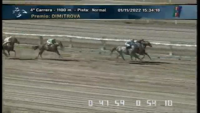 Madame Mora/Stud-Wiber/Trainer: Goicoechea M/Jockey: Goncalves F смотреть онлайн