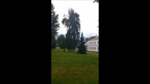 Соломинка любви