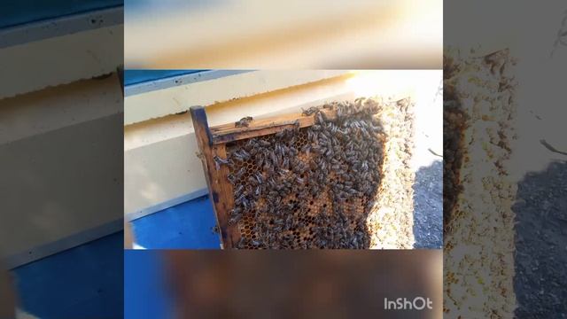 Первое расширение в этом году.