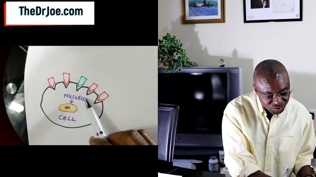 Is Spirulina Good for You (Dangerous Spirulina Side Effect) смотреть онлайн