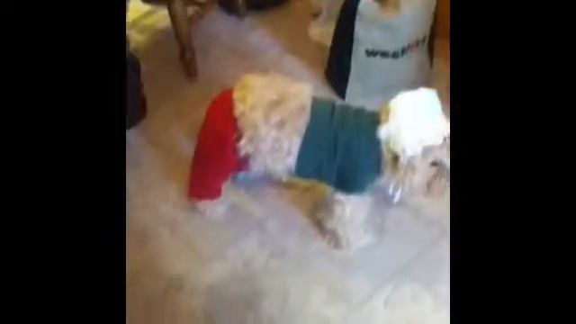 "My Body" Young the Giant смотреть онлайн