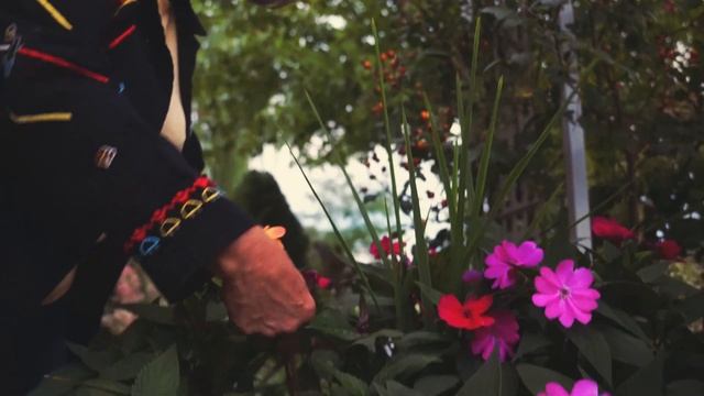 Ibis Gardens смотреть онлайн