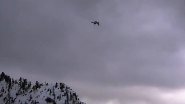 Jonathan Livingston Seagull / Lene Marlin смотреть онлайн