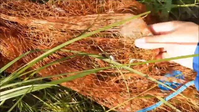 Кастинговая сетка - рыбалка