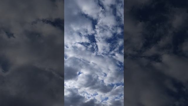 чиль белогрудый смотреть онлайн