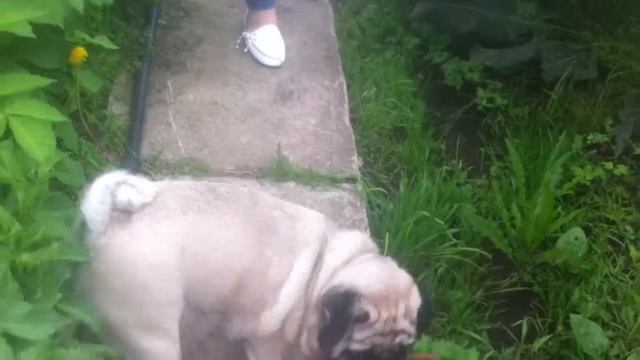 Чернушка - 2014 смотреть онлайн