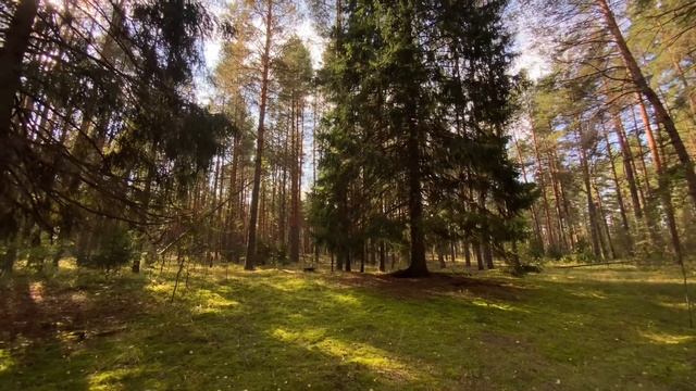 Солнечный день в Марийке смотреть онлайн