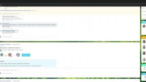 15.2. БП Постановка задачи с возможностью отказаться