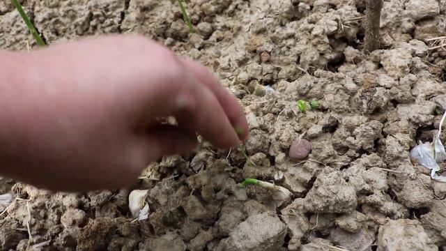 POTREBNA MI JE VASA POMOC DO DALJNJEG смотреть онлайн