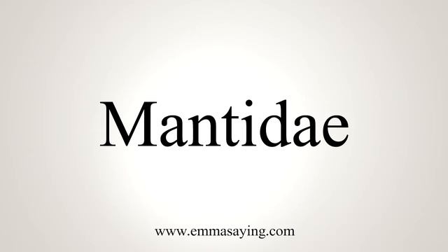 How To Say Mantidae смотреть онлайн
