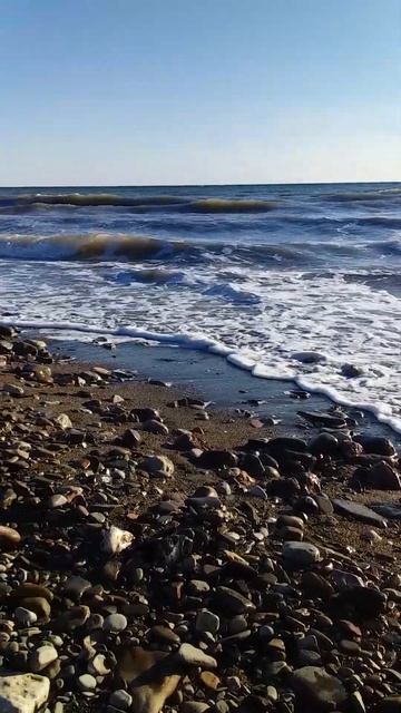 Черное море. Сочи. #shorts. #короткое_видео.