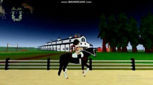 /VLOG/Тренировка с Афиной/Острова диких лошадей/