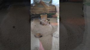 Ростовский зоопарк!