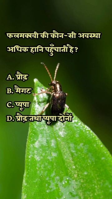 entomology for competitive exams । general agriculture questions । #ibps #aao #jrf #gkinhindi