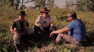 Трейлер фильма  "Королева джунглей"