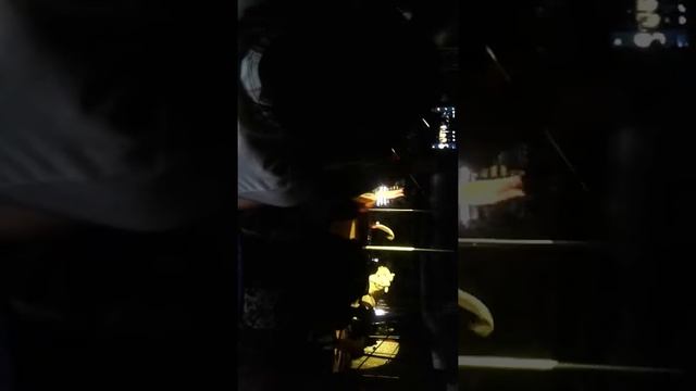 26 сентября 2019 г.