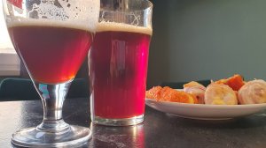 Норвежский можжевеловый эль "Йоль" Заключение.