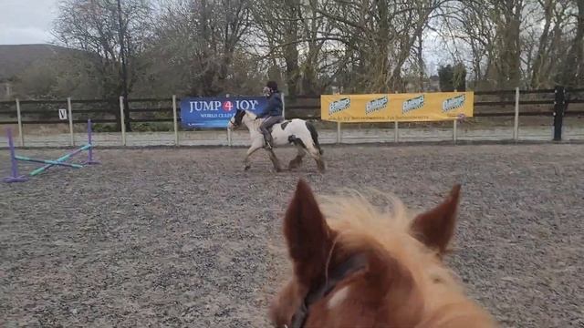 jasmine(5) смотреть онлайн