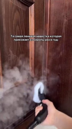 ТА САМАЯ ЛЕНИВАЯ НЕВЕСТКА
