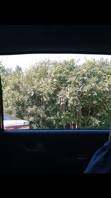 Йоу, новое видео