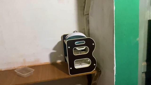 Why we use LEMON GRASS for tea and why you should too! смотреть онлайн