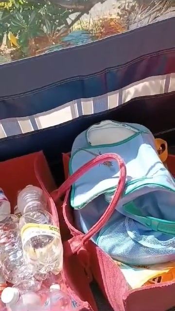 Gecko Eidechse sonnt sich auf Kühltasche смотреть онлайн