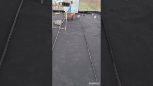 Матаня. Жизнь на Кубани.