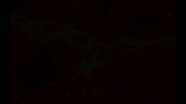 VASALLO - The Arecibo Message I. three hundred thousand stars смотреть онлайн