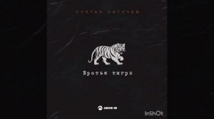 султан лагучев братья тигры 🔥🔥