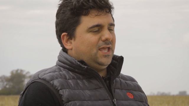 Incluyendo cultivos de cobertura recuperamos algunas hectáreas de campo