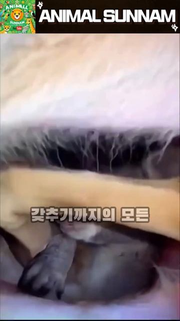 아기 캥거루의 도전!🦘✨