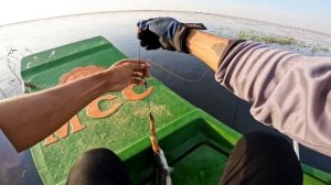Fun Fishing for Snakehead Fish in Tonle Sap Great Lake of Cambodia