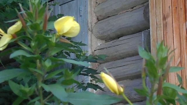 001 смотреть онлайн