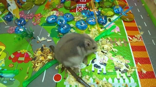 ХОМА БУСИНКА В МИРЕ ДИНОЗАВРОВ #1 смотреть онлайн