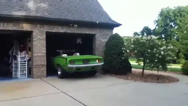 Barracuda starting смотреть онлайн