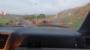 Иркутск .Дорога на Байкал