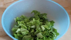 Овощной салат с вялеными помидорами и луком