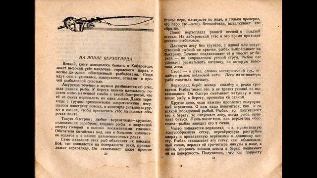 На ловле верхогляда. Читаем вслух рассказ Петра Комарова