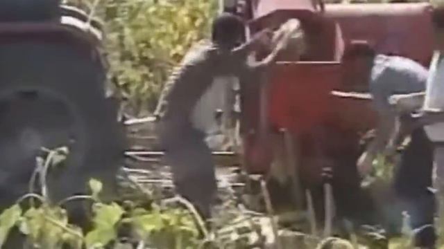 World Amazing Modern Agriculture Mega Machines Harvesters: Pumpkin and Squash Field Fertilizing