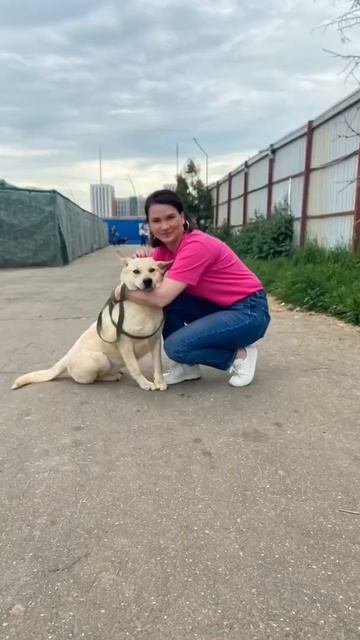 Субботний волонтёрский день в приюте Кожухово, Москва смотреть онлайн