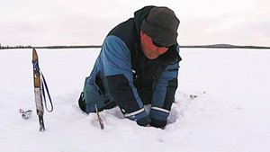 Подлёдная РЫБАЛКА на разливах. Здесь такие ГАДЫ! ОБДИРАЮ руки, но ТАЩУ.